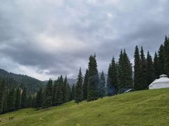 -塞罕坝国家级自然保护区