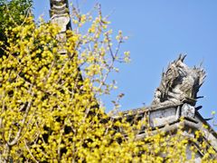 -宁波市保国寺古建筑博物馆