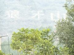 -狼牙山风景区