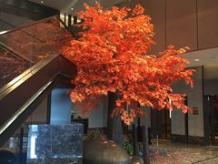 -曼谷大仓新颐酒店