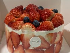 -诺嘉甜品(世贸店)
