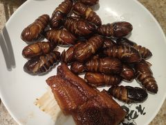-初色海鲜自助(万丰路店)