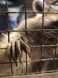 -酷嗒动物文化乐园(cutezoo西溪乐天城店)