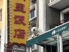 -满洲里饭店-尼基金俄餐厅