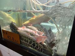 -融泽漁悦三只耳鱼火锅(南郑大道店)