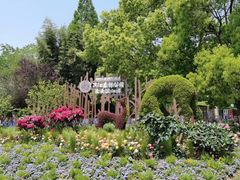 -上海滨江森林公园