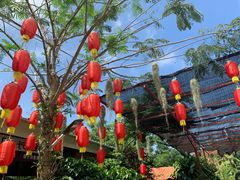 -万兴启丰椰子文化园餐厅