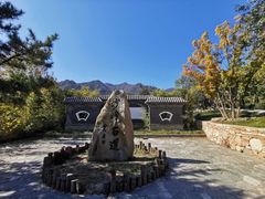 -阳台山自然风景区