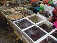 iphone_upload_pic-板桥海鲜广场(文明东店)