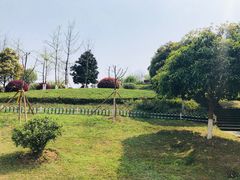 -铁山坪森林公园