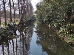 -上海滨江森林公园