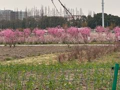 -嘉北郊野公园