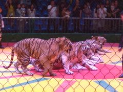 -西安秦岭野生动物园