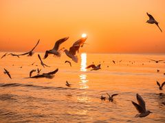 -老虎石海上公园