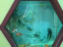 -北戴河圣蓝海洋公园