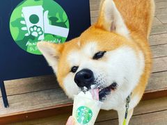 -星巴克(武汉招商公园1872店)