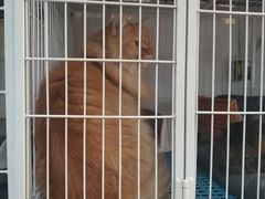 -小时光咖啡馆(北锣鼓巷店)