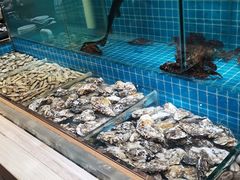 -乐汤汇温泉生活馆