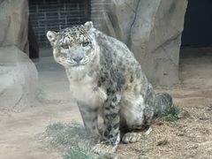 -青藏高原野生动物园