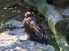 -杭州野生动物世界