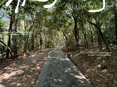 -绿城千岛湖喜来登度假酒店