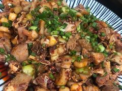 口水鸡-凤来栖·净庭院·火锅(欧尚店)