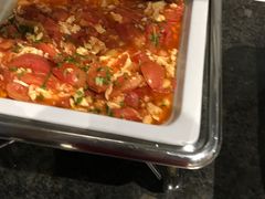 -虹桥机场国航贵宾室v8