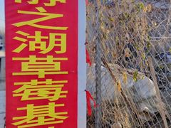-静之湖度假区