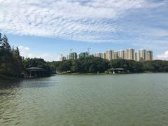 -白塘生态植物园