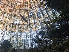 -中国西峡恐龙遗迹园