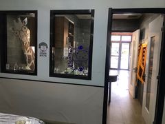 -美联众合宠物医院·爱萌分院·内外科·猫科中心