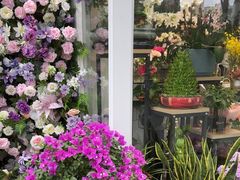 -FEI FEI FLOWER鲜花店·气球派对·宝宝宴布置(虹口德必运动Loft店)