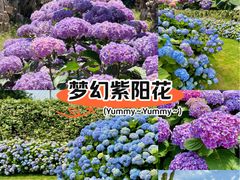 -顺峰山公园
