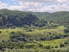 -御道口草原森林风景区