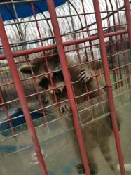 -萌宠亲子动物乐园(槐房万达店)