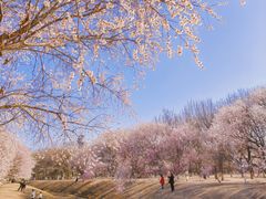 -北京奥林匹克公园