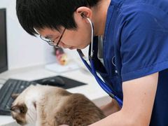 -伟伟宠物医院·CT影像中心·瑞派犬猫综合性门诊(汉口总院)