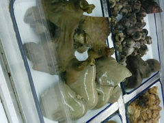 android_upload_pic-年记·兴顺斋 牛街清真熟食小吃店