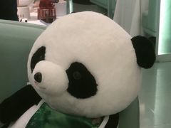 -眉州东坡·熊猫主题餐厅(枫蓝店)