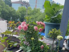 -又见炊烟私房菜(敬亭路店)