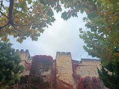 -青岛方特梦幻王国