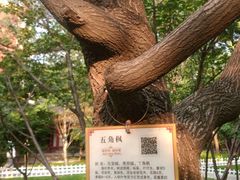 -碑林公园