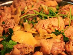 泡姜鸡-陈三娃泡姜鸡(太白北路店)