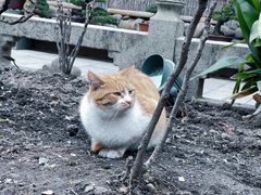 -龙华寺