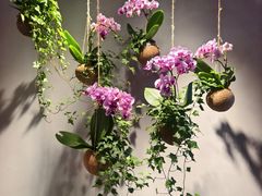 -御品猪腰·地道岭南味(千灯湖店)