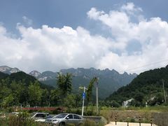 -王顺山国家森林公园