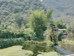 -靖西鹅泉风景区