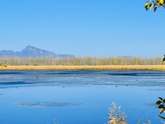 -野鸭湖国家湿地公园