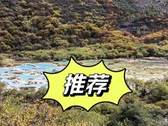 -黄龙山原始森林景区