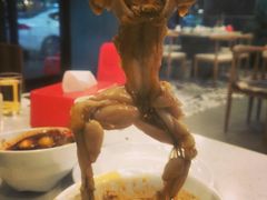 -麻辣巅峰美蛙鱼头火锅(犀浦店)